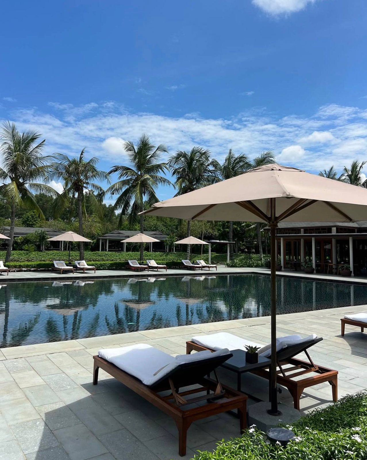 Pool with palm trees at the resort